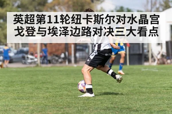 英超第11轮纽卡斯尔对水晶宫戈登与埃泽边路对决三大看点